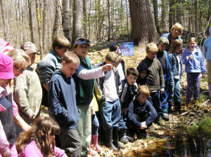 Vernal Pool Workshop