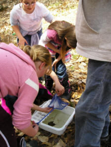 Vernal Pool Workshop