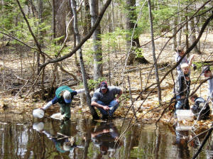 Vernal Pool Workshop
