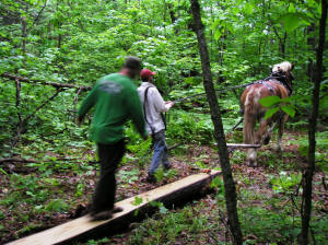 Horse Work Day 2006