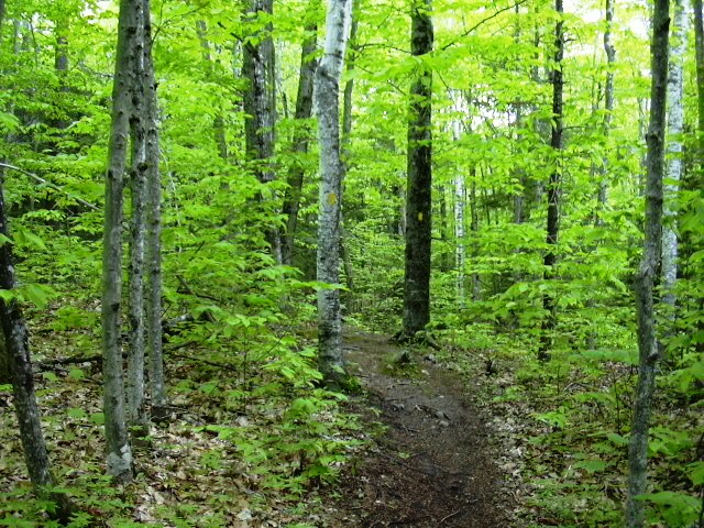 Smithfield Plantation Trail
