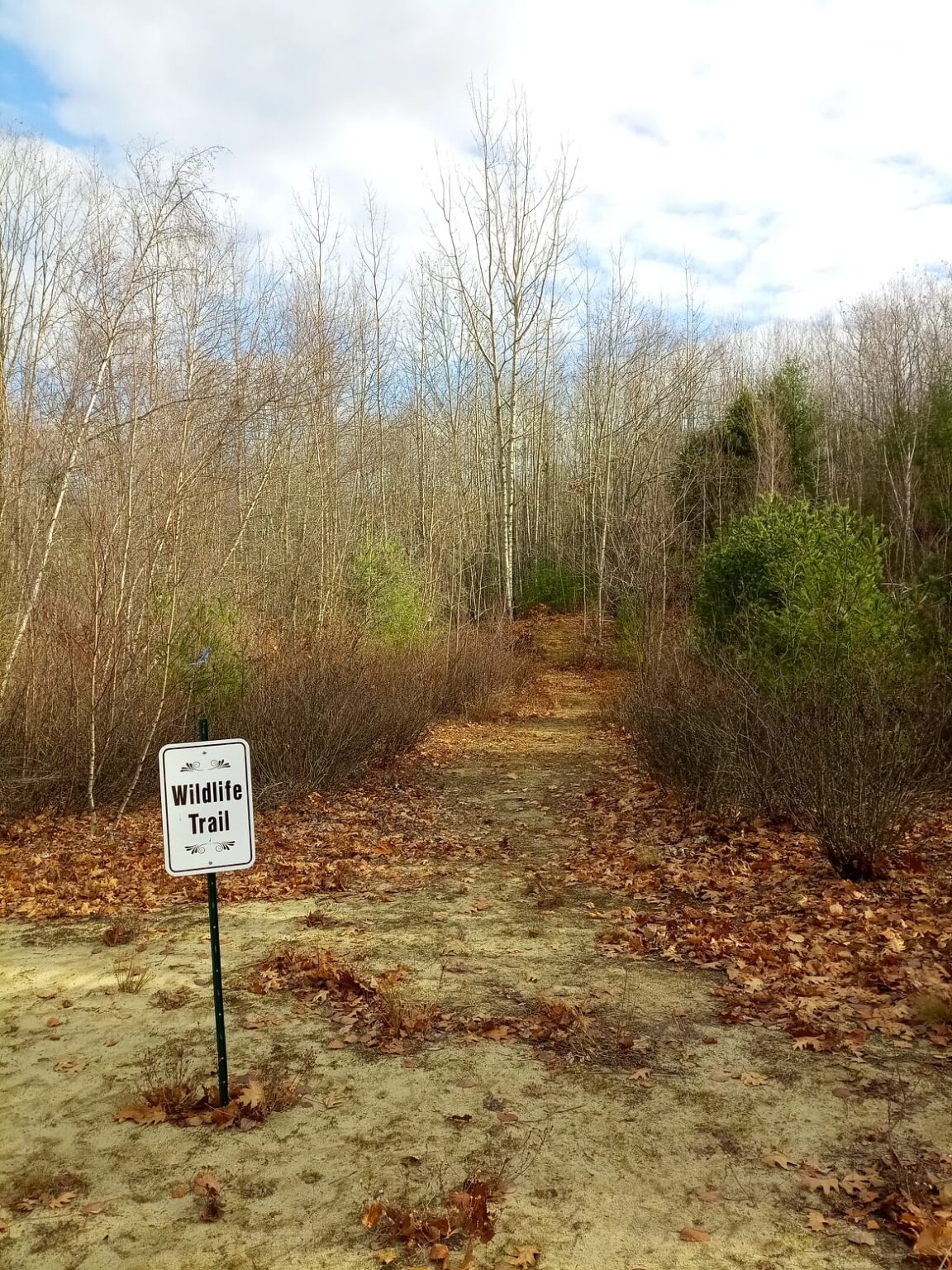 126396255_109497327646387_5323989021518757098_n « Litchfield, Maine