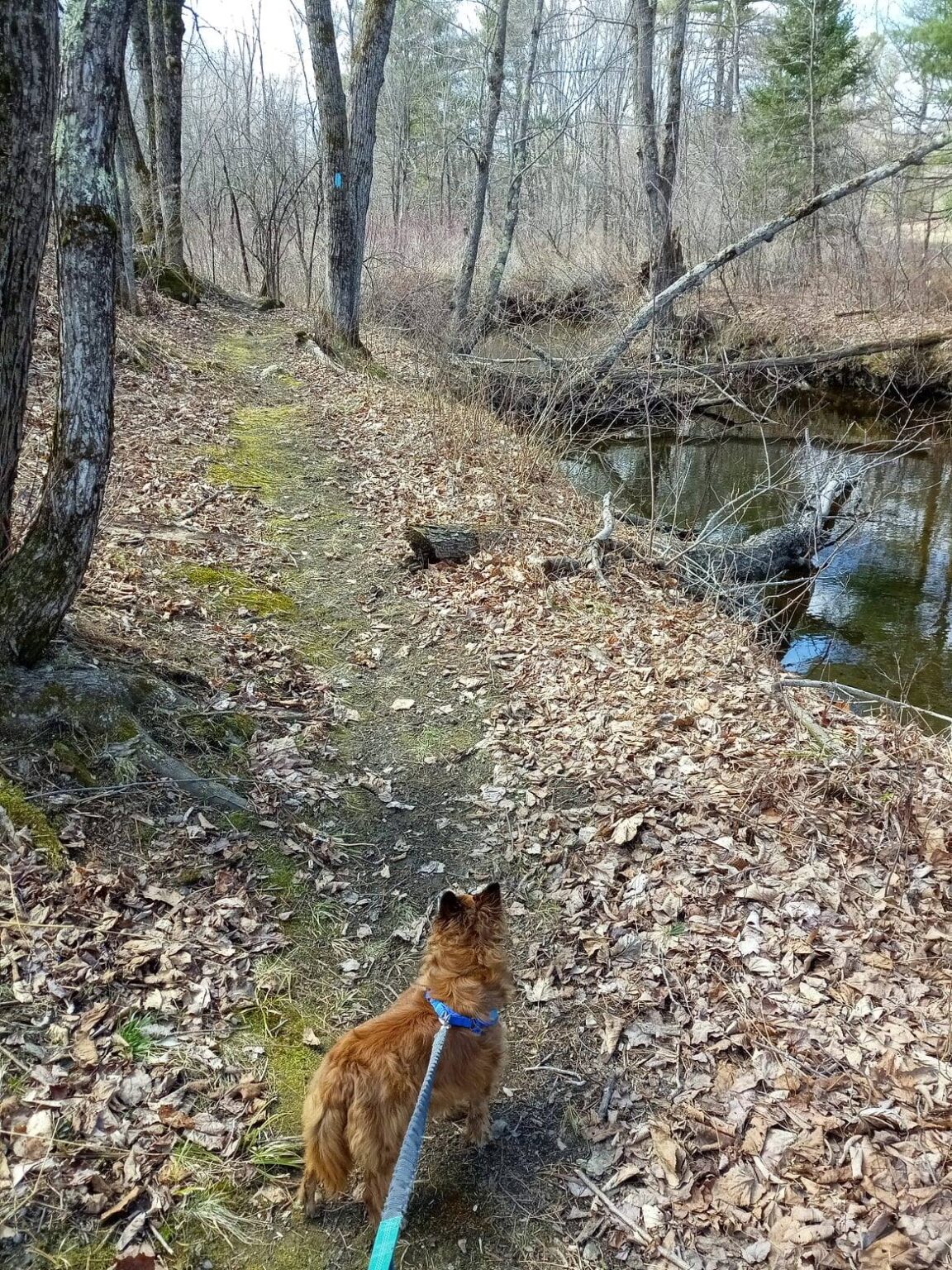 171000816_195648195697966_1890958757885420245_n « Litchfield, Maine